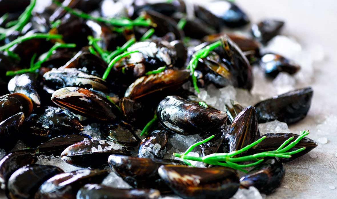 Mussels on ice