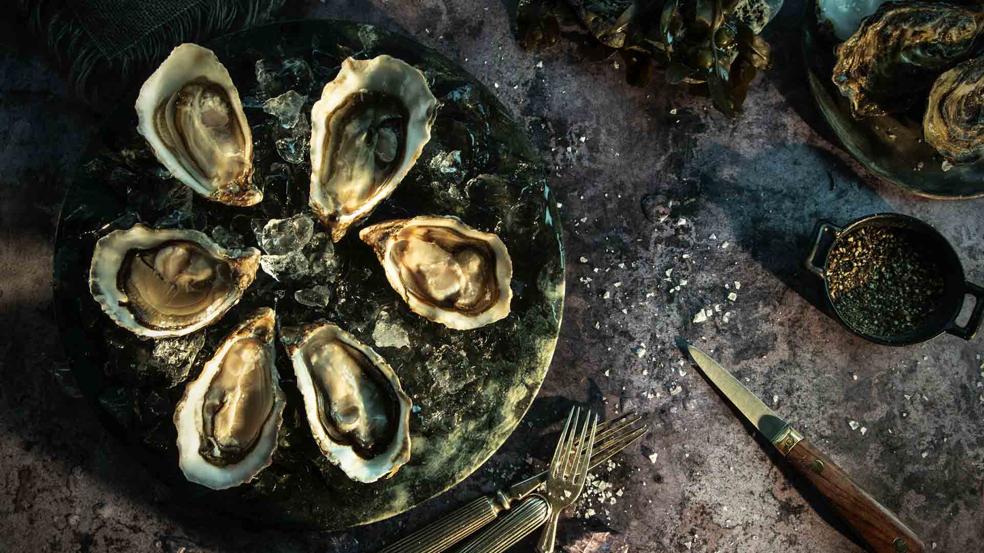 MikeOTooleGigasOysters1920x1080