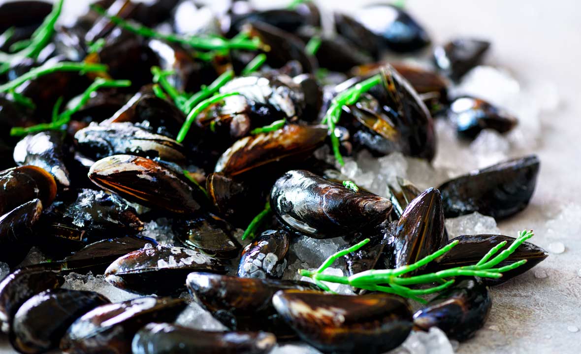 Mussels-1180px