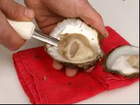 Opening an Irish Oyster