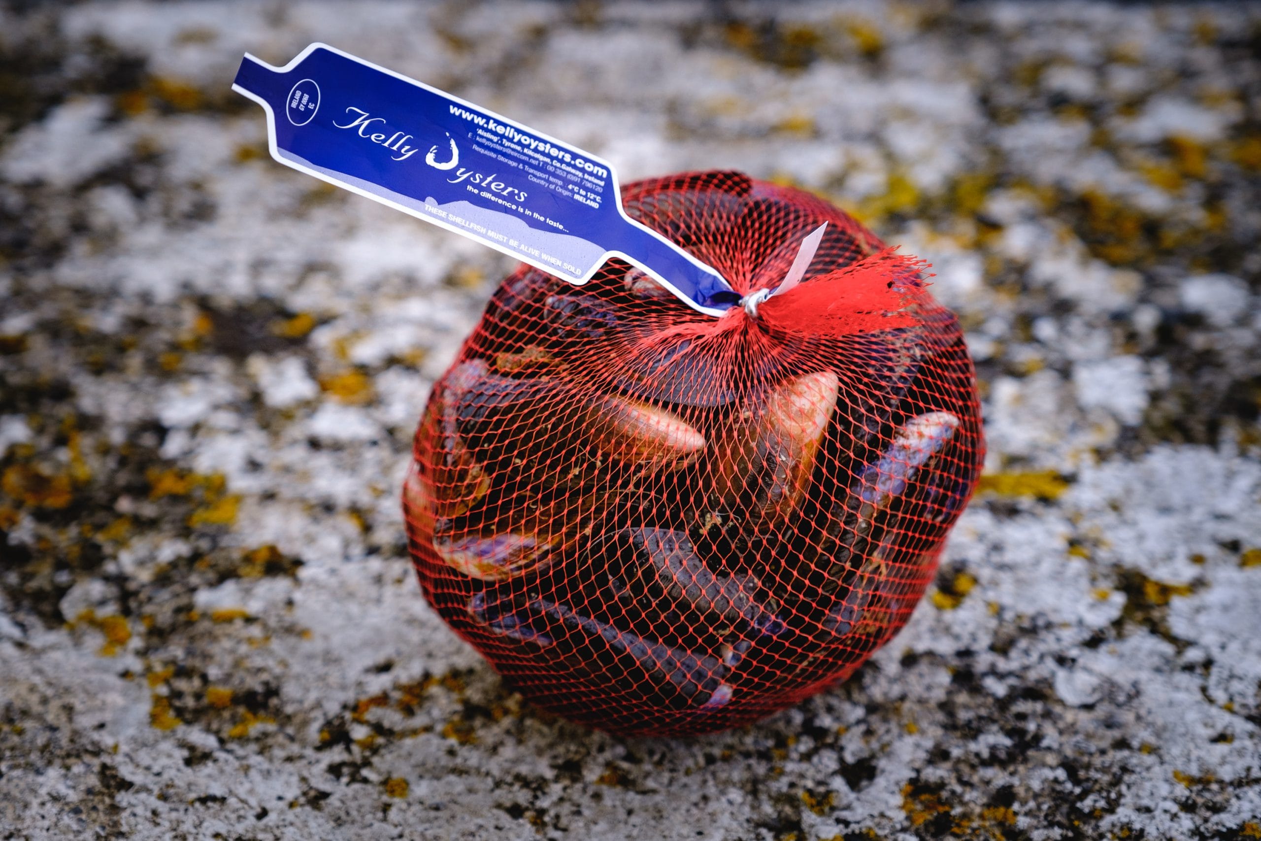 Kelly Oysters Mussels