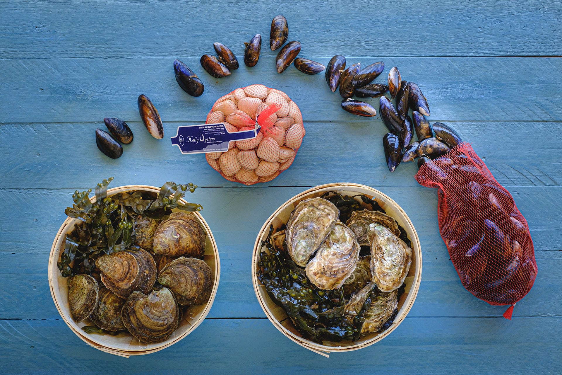 Selection of seafood from Kelly Oysters